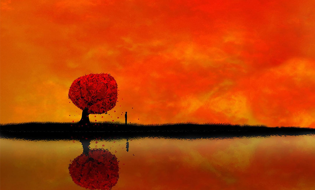 淮南笙影微信朋友圈转发案例